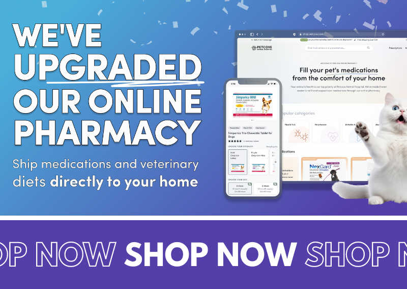 Carousel Slide 1: Shop Our Online Pharmacy >>