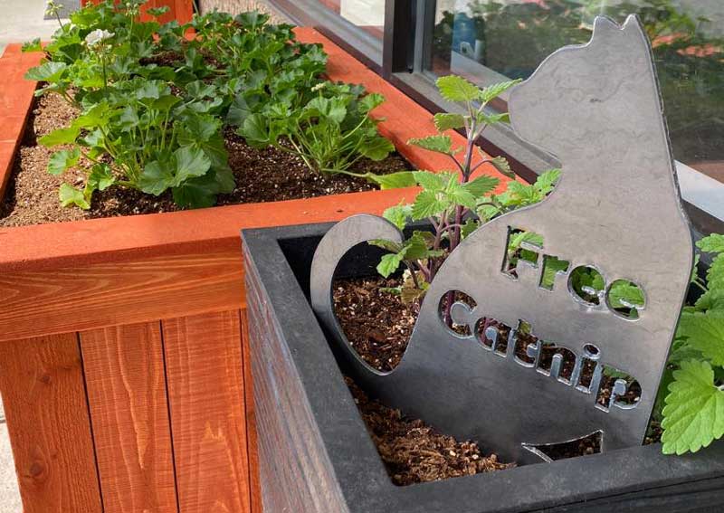 Carousel Slide 2: Learn more about us!